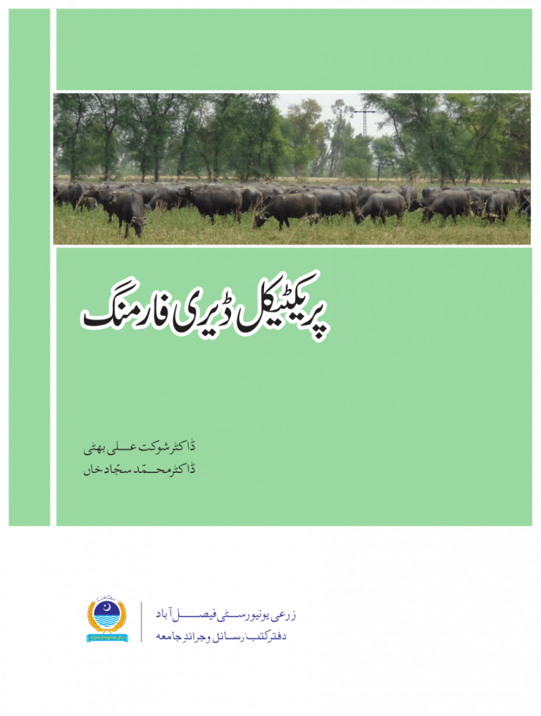 Practical Dairy Farming Guide in Urdu PDF Free Download