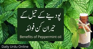 پودینے کے تیل کے حیران کن فوائد Peppermint Oil Benefits