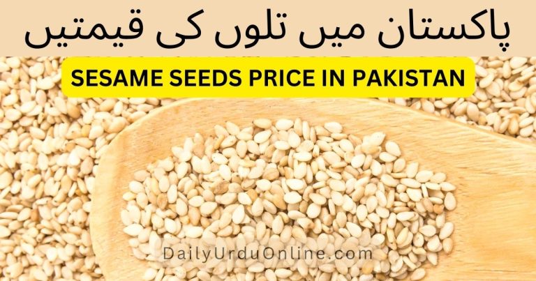 Till Rate in Pakistan Today 2022 | Sesame Seed 40 Kg Price