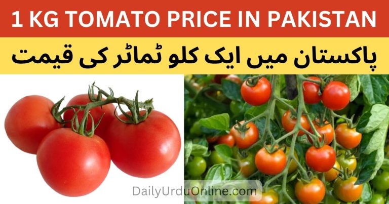 1 KG Tomato Price in Pakistan Today