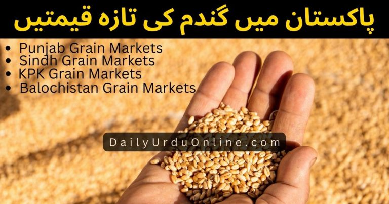 Gandum Rate in Pakistan 2022 | Gandam Price in Pakistan Today