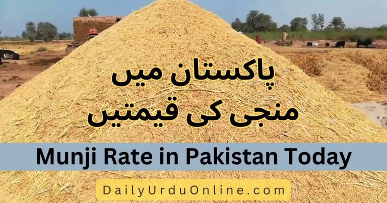 Munji Rate in Pakistan 2022 Today