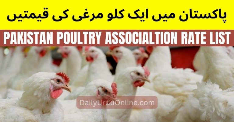 Pakistan Poultry Association Daily Rates in Pakistan | Broiler Zinda Chicken Rate List Today